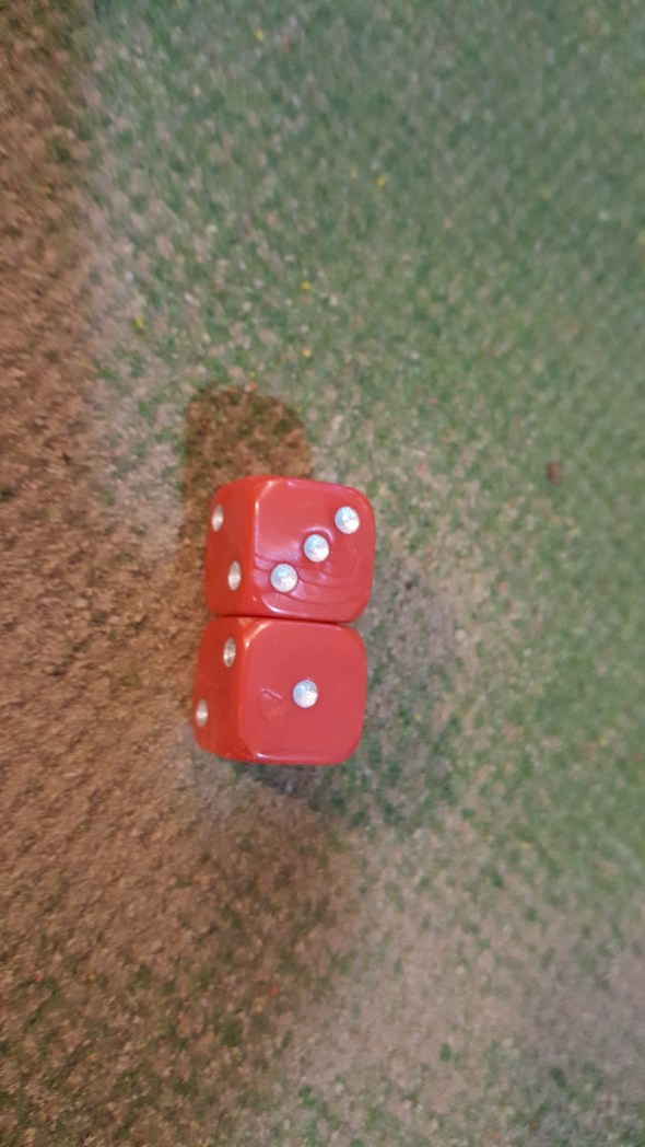 20170618_222319_resized